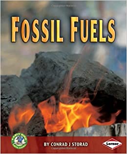 FLSSIL FUELS BY SALLY M WALKER