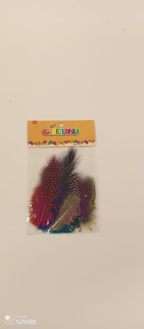 FEATHER PIGEON FEA1009