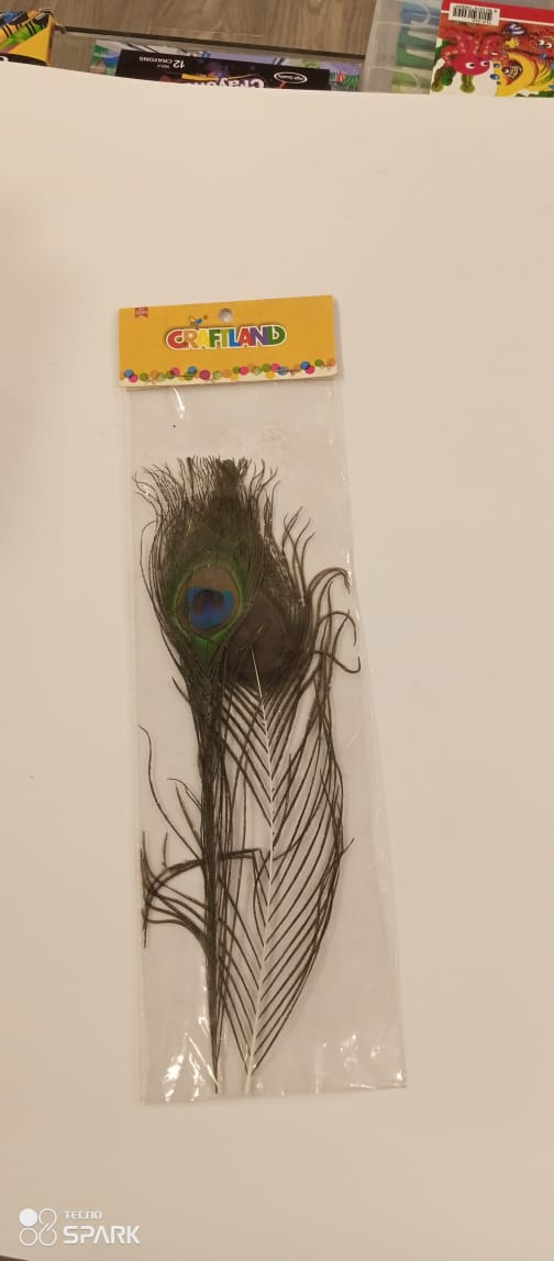 WINGS PEACOCK 1002
